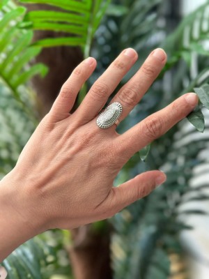 ANILLO CELESTE