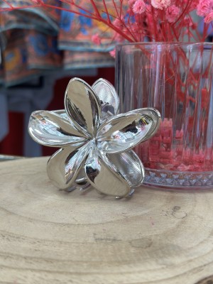 PINZA METAL PLATA