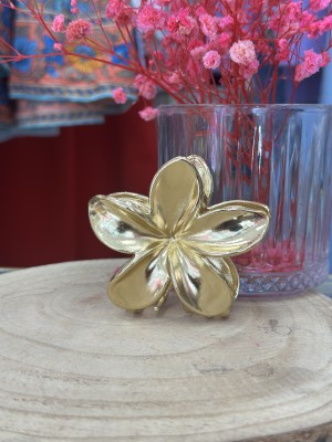 PINZA METAL DORADA
