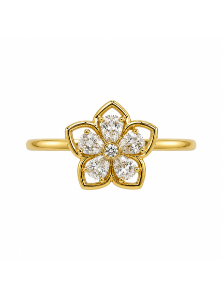 ANILLO RUT