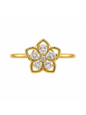 ANILLO RUT